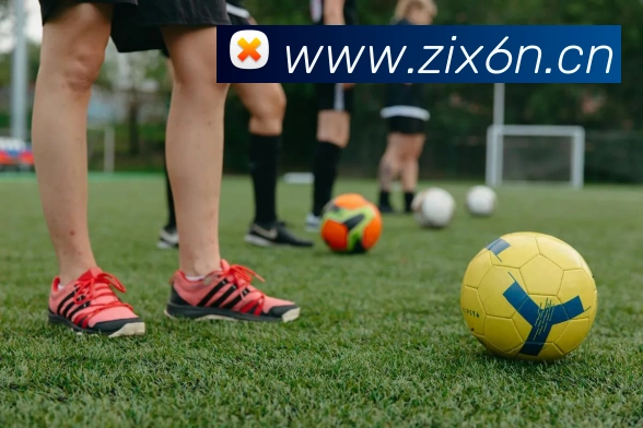 App Interface Preview